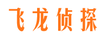 山东私人侦探